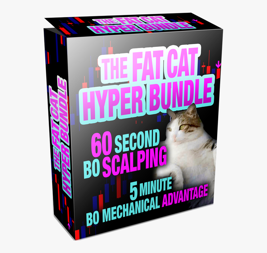 Get The Fat Cat Hyper Bundle Now, And See For Yourself, - Asian, HD Png Download, Free Download