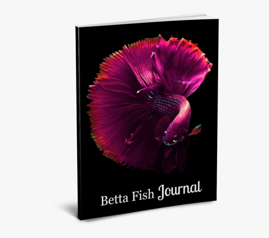Betta Fish On Black Background, HD Png Download, Free Download