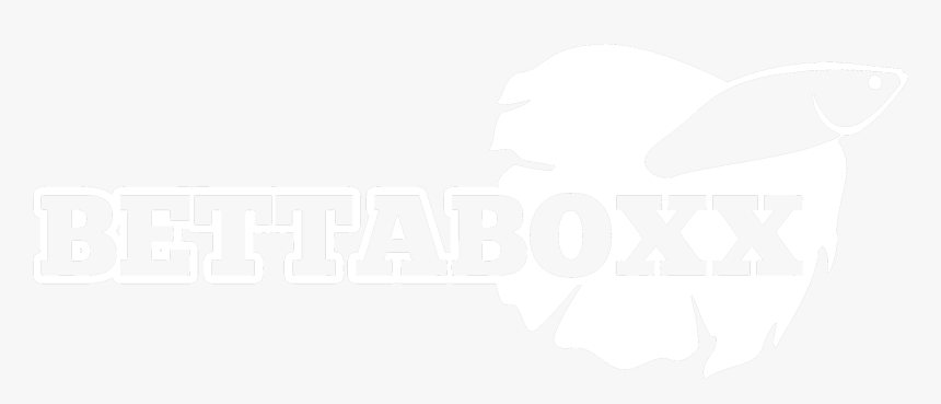 Bettaboxx - Graphic Design, HD Png Download, Free Download