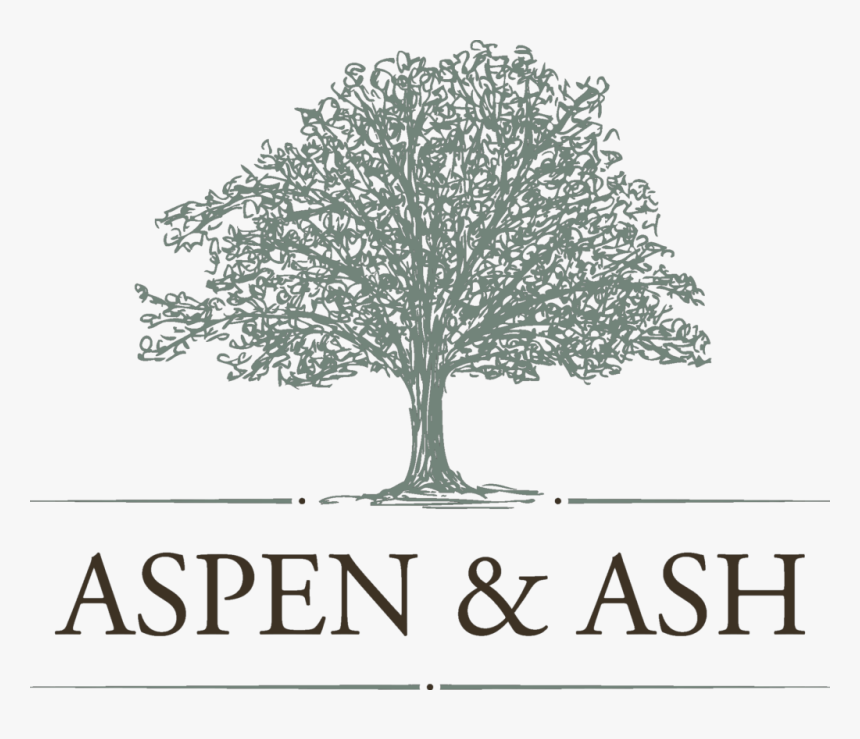 Aspen And Ash - Ash And Aspen, HD Png Download, Free Download