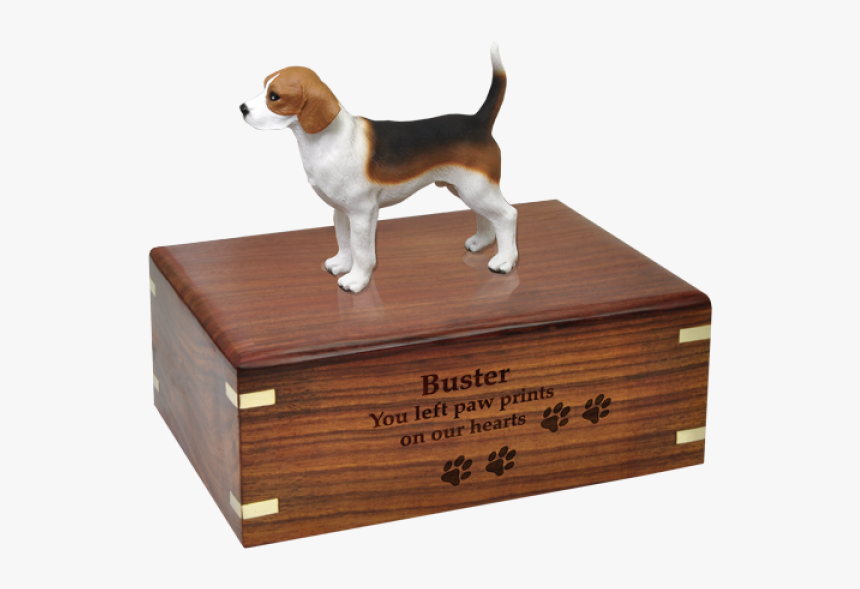 Cavalier King Charles Spaniel Monument, HD Png Download, Free Download
