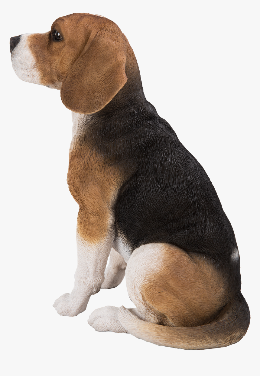 Beagle Png, Transparent Png, Free Download