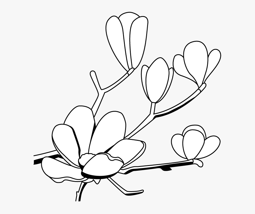 Magnolia Flower Clip Art - - Magnolia Flower Black And White Hd Clipart