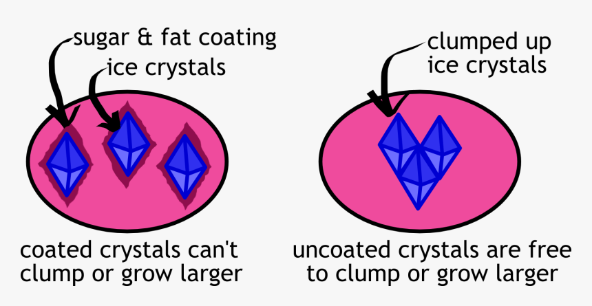 Calorie-rich Protective Coatings Of Sugar And Fat Molecules - Ice Crystals Forming In Ice Cream, HD Png Download, Free Download