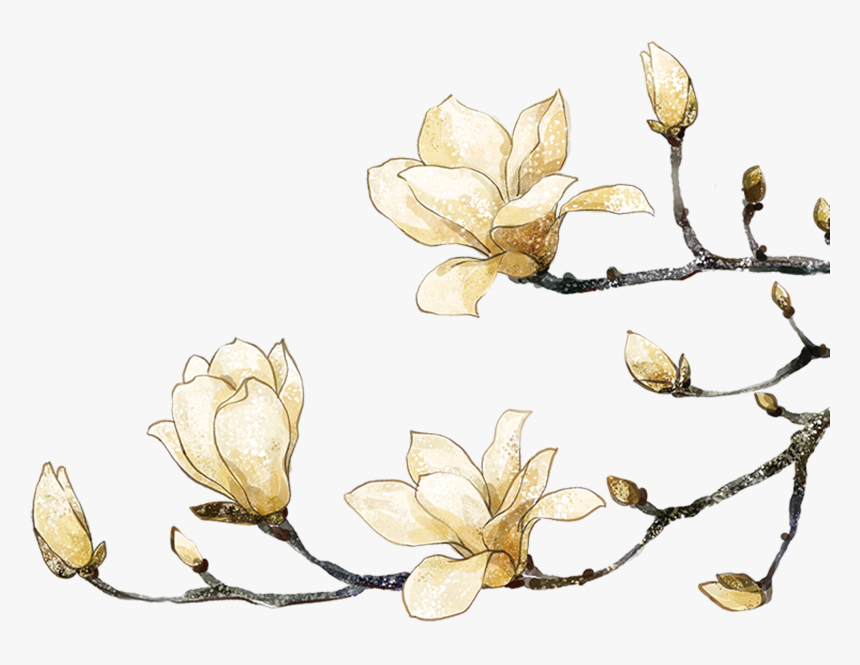 Magnolia Clipart Southern - White Water Color Flower Png, Transparent Png, Free Download