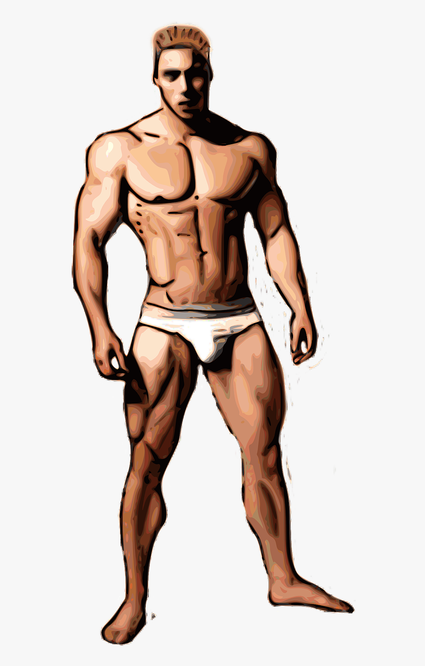 Male Muscle Growth Spurt, HD Png Download, Free Download