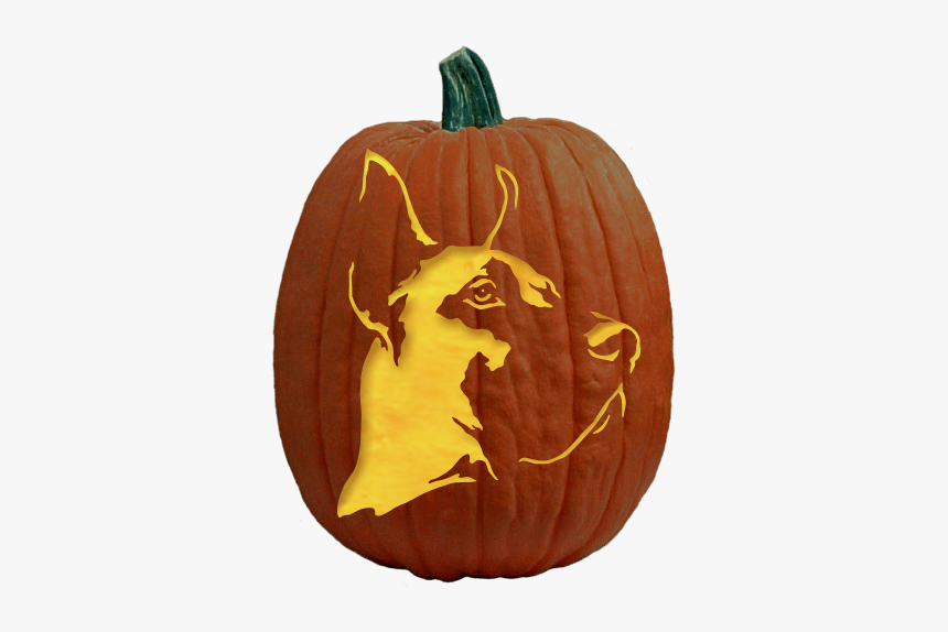 French Bulldog Pumpkin Carving, HD Png Download - kindpng