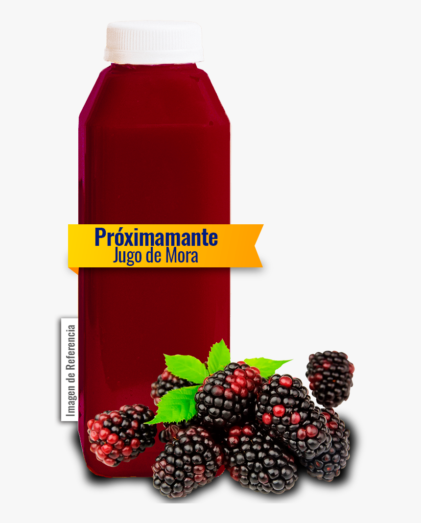 Mora Fruta Png, Transparent Png, Free Download