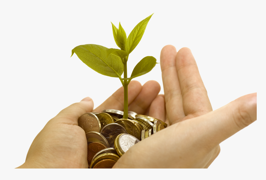 Money Growing In Hand, HD Png Download, Free Download