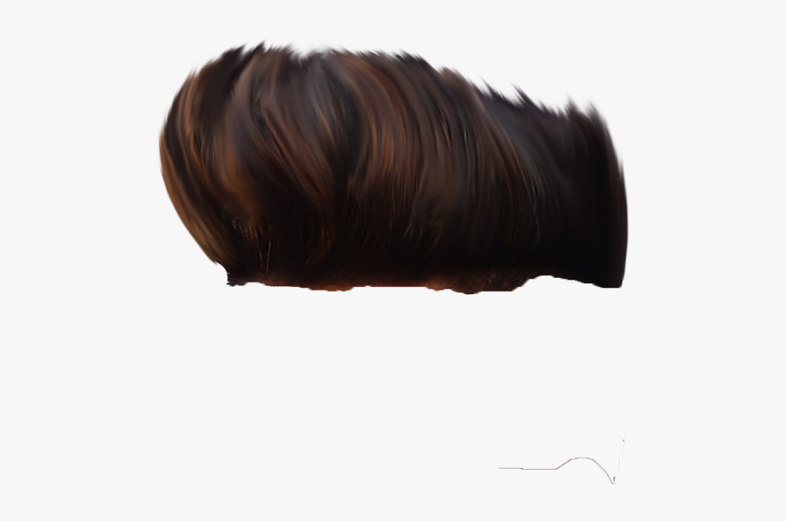 Sk Editz Hair Png, Transparent Png, Free Download