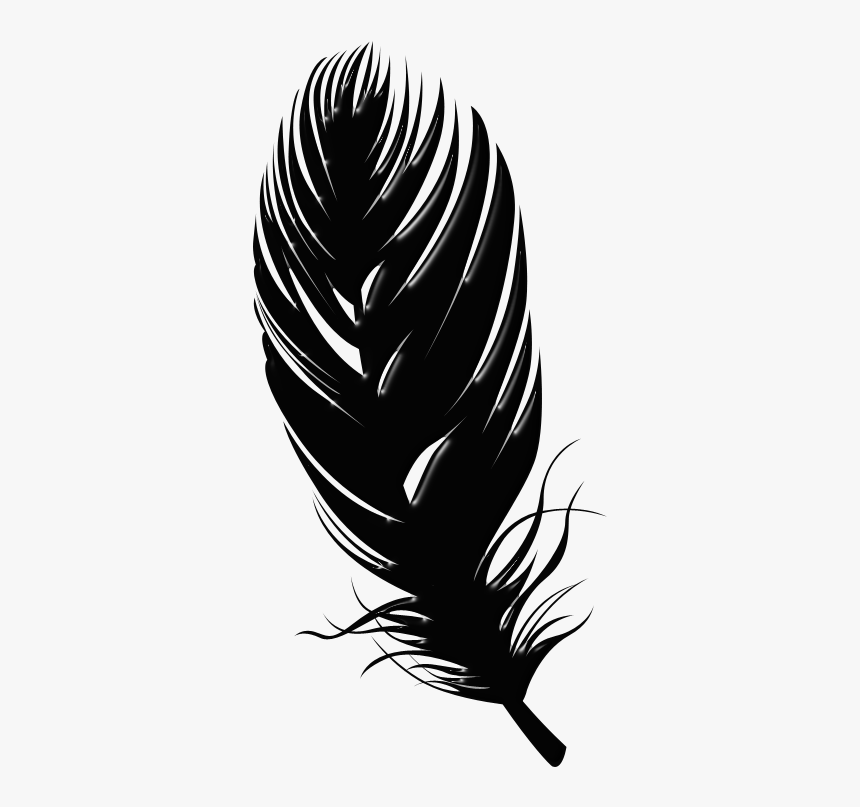 Transparent Background Feather Png, Png Download, Free Download