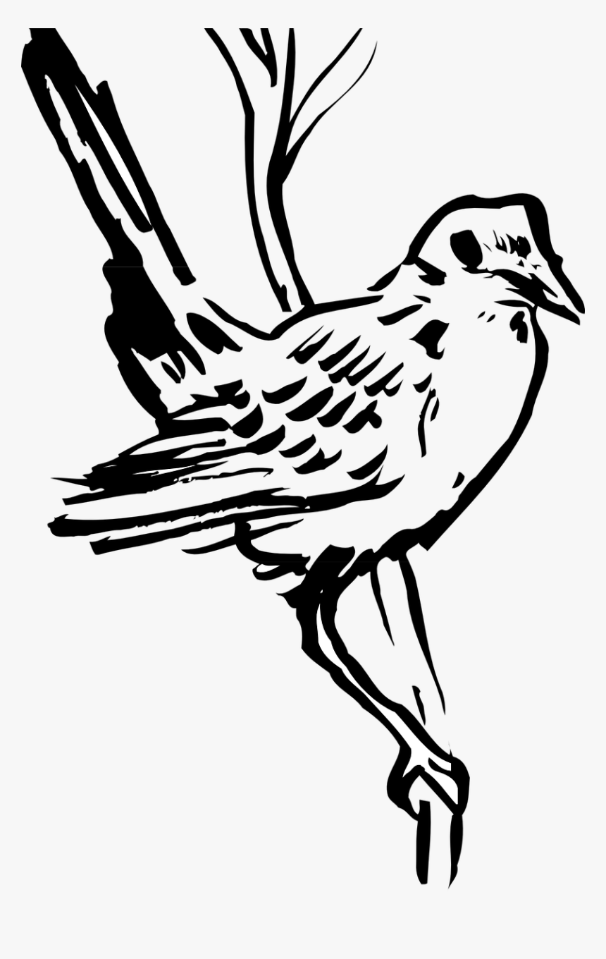 Dessin D Oiseau A Plumes, HD Png Download, Free Download