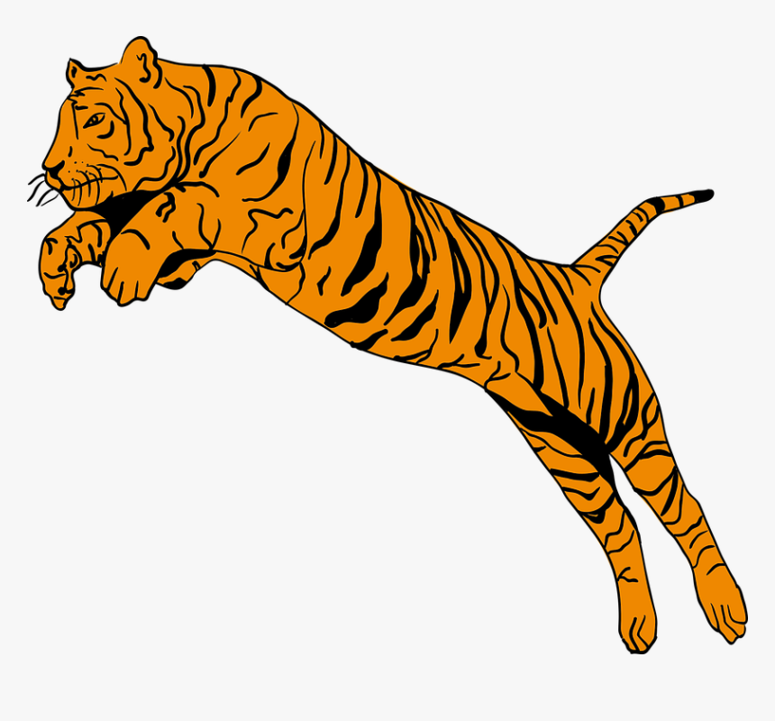 Bengal Tiger Clipart 2, Buy Clip Art - Do You See First Animals, HD Png Download, Free Download