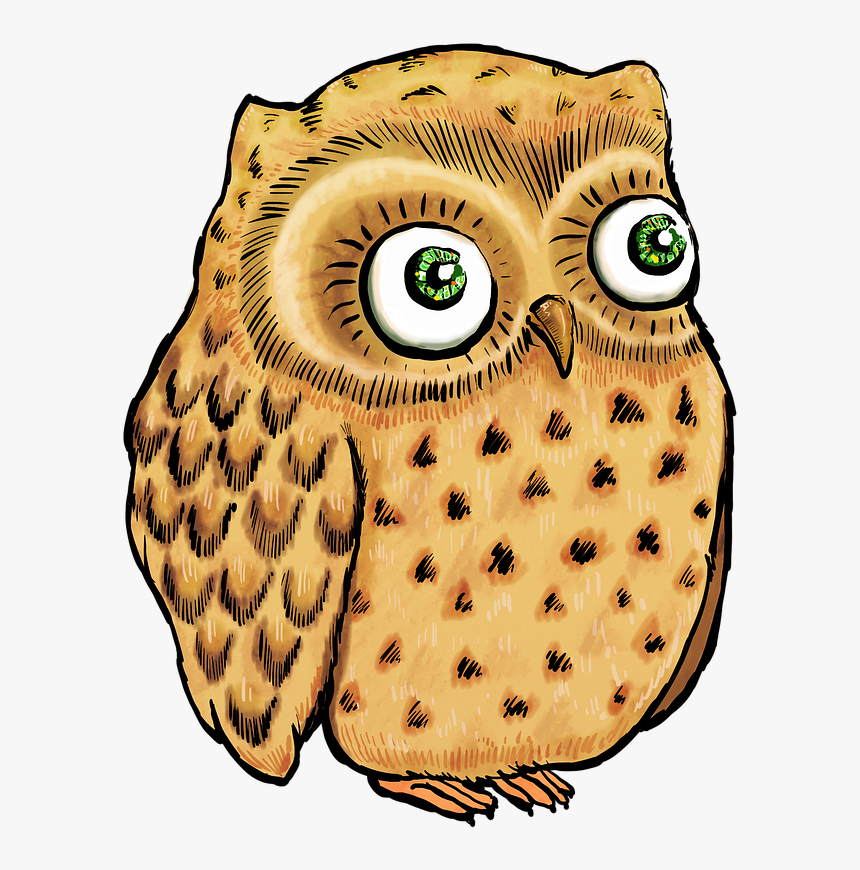 Owl, Cute Owl, Owl Illustration, Owl Drawing, Bird - Sonidos Con Buho Animado, HD Png Download, Free Download