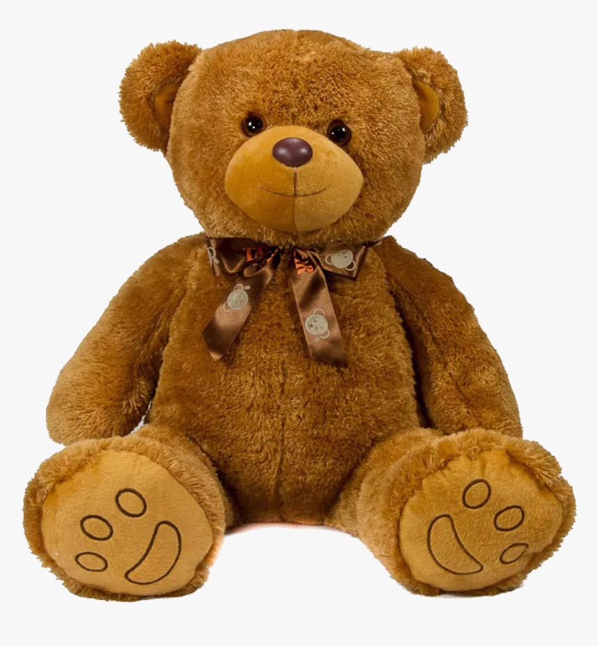 transparent teddy bear