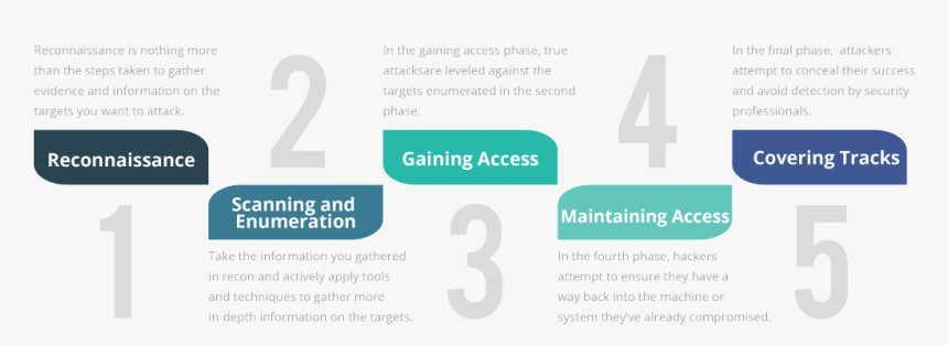 5 Phases Of Hacking - Ethical Hacking Phases, HD Png Download, Free Download