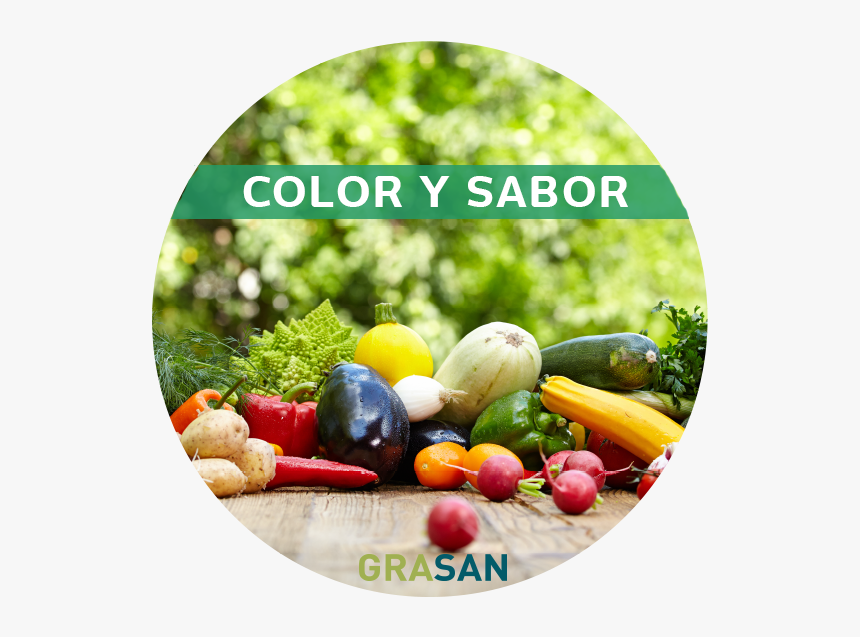 Proveedor De Verduras Y Frutas - Maintain A Healthy Diet, HD Png Download, Free Download