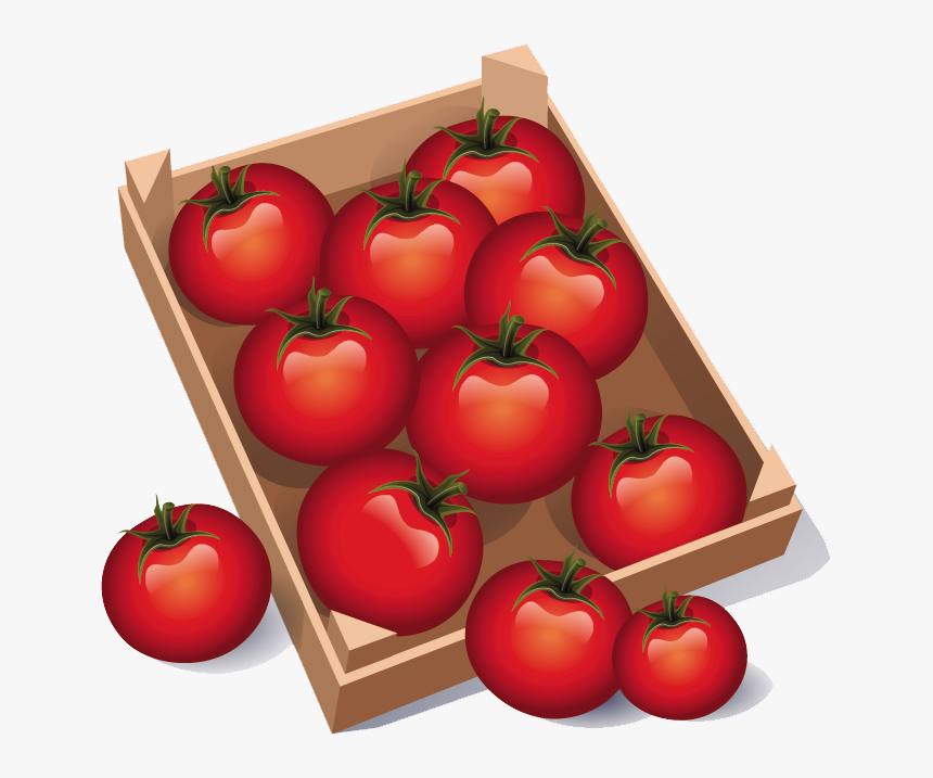 Cajon Tomates - Kelebihan Tomato Untuk Kulit, HD Png Download, Free Download