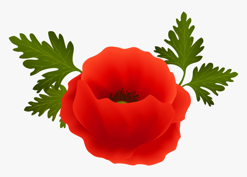 Poppy Clipart Poppy Field - Poppy Png, Transparent Png, Free Download