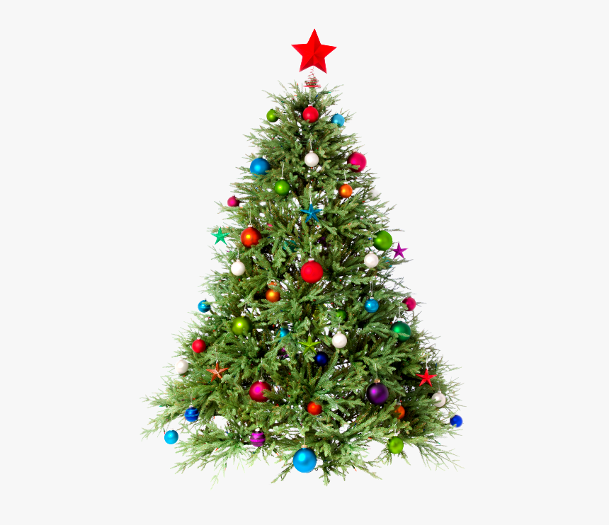 Clipart Christmas Tree Png - Christmas Tree Images Png, Transparent Png, Free Download