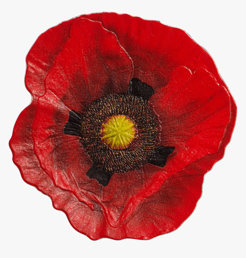 Remembrance Poppy Cook, HD Png Download, Free Download