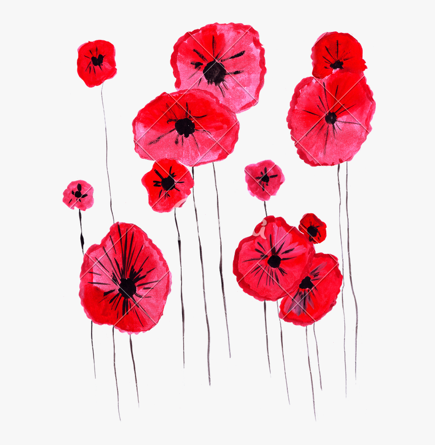 Clip Art Poppy Illustration - Get Well Soon Flower Cards, HD Png Download, Free Download