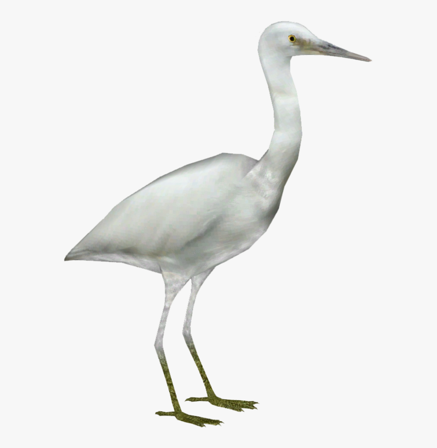 Pacific Reef Heron - Heron Png, Transparent Png, Free Download