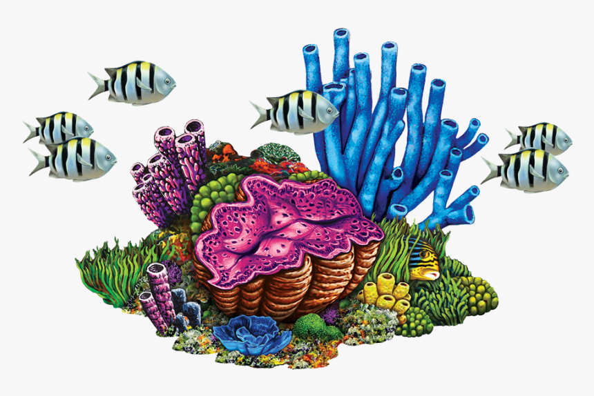 Transparent Coral Reef Clipart Png - Coral Reef, Png Download - kindpng.