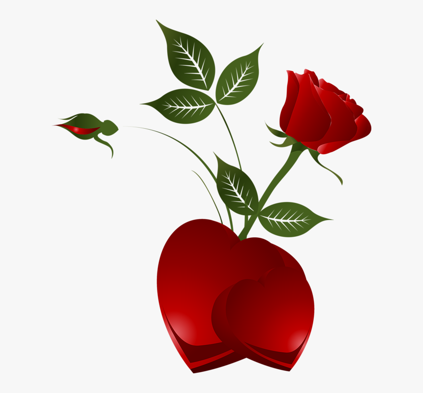 Transparent Rose Heart Png Clipart Picture - Red Rose With Heart, Png Download, Free Download