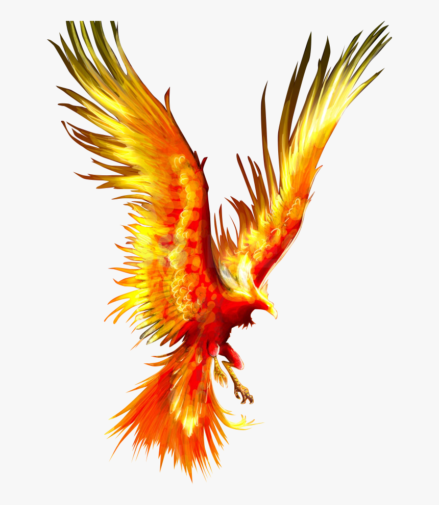 Tattoo Fireworks Mythology Firebird Phoenix Download - Phoenix Fire Bird Png, Transparent Png, Free Download