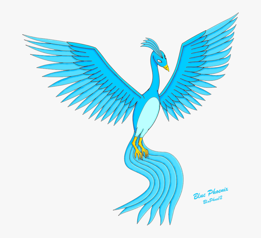 Phoenix Bird Pictures Clipart , Png Download - Transparent Background Mlp Phoenix, Png Download, Free Download