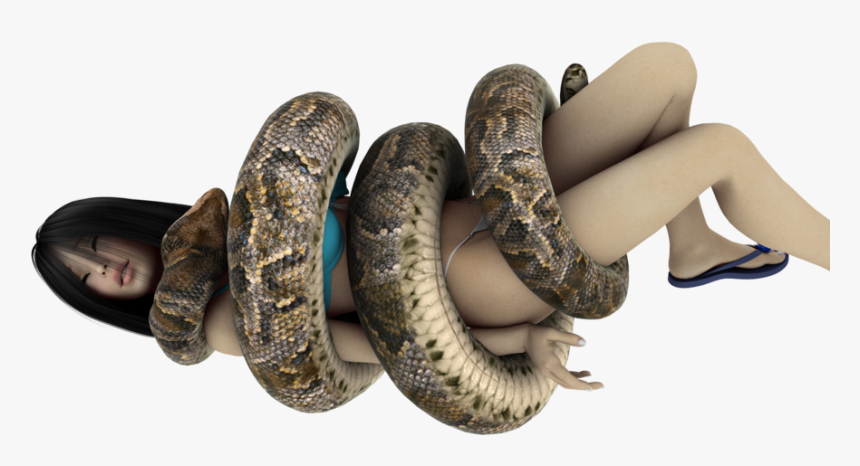 Snake Giant Anaconda Digital Art - Anaconda Snake Squeeze Girl, HD Png Download, Free Download