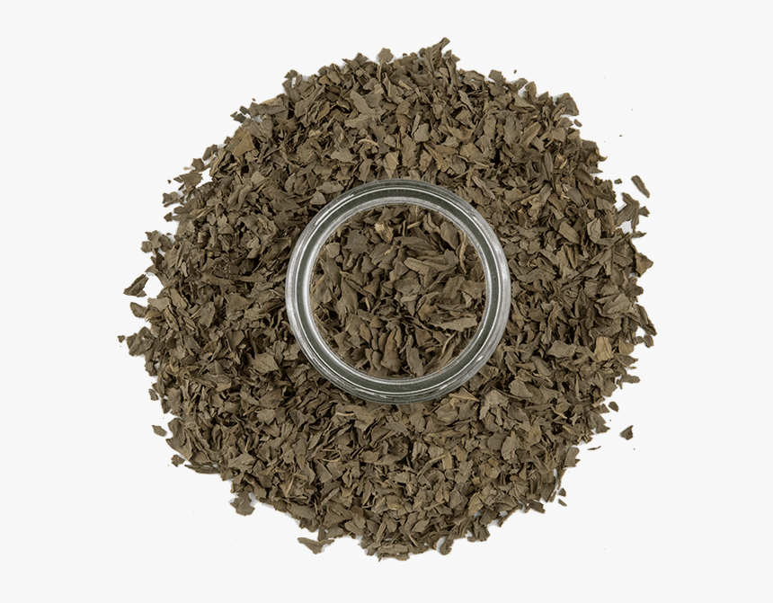 Sweet Basil 3 - Sunflower Seed, HD Png Download, Free Download