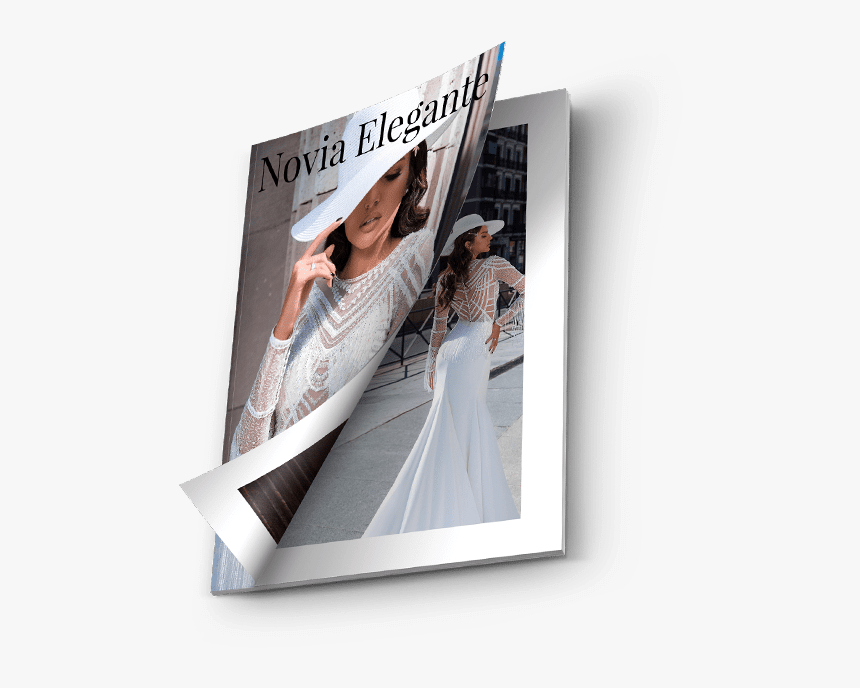 Transparent Wedding Veil Png - Bride, Png Download, Free Download