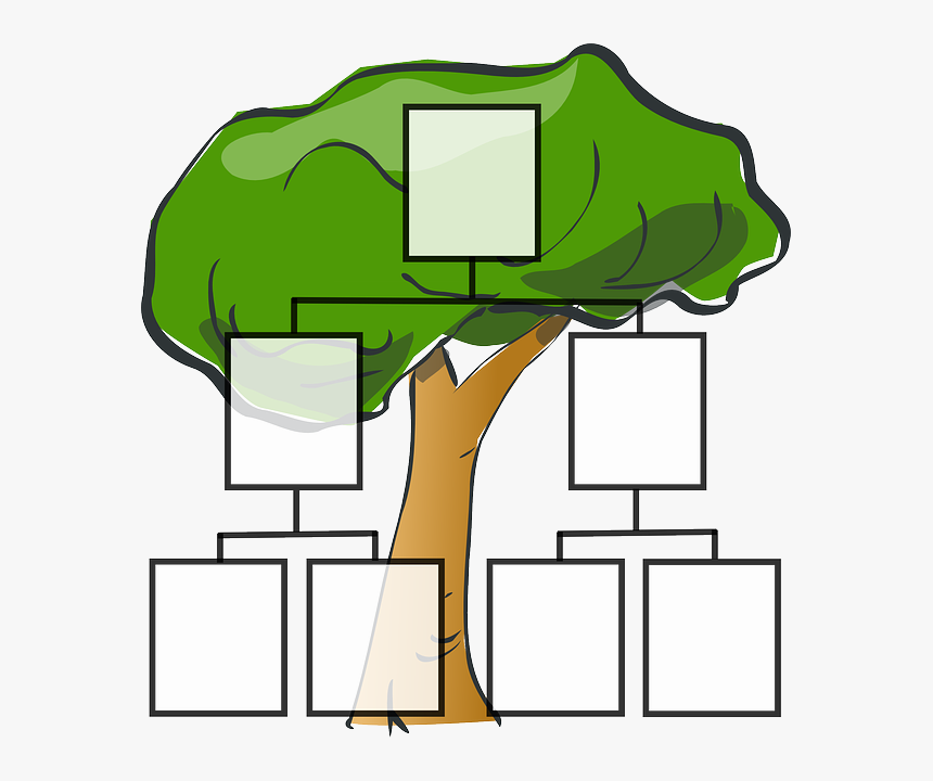  Simple  Blank Family  Tree  HD Png Download kindpng