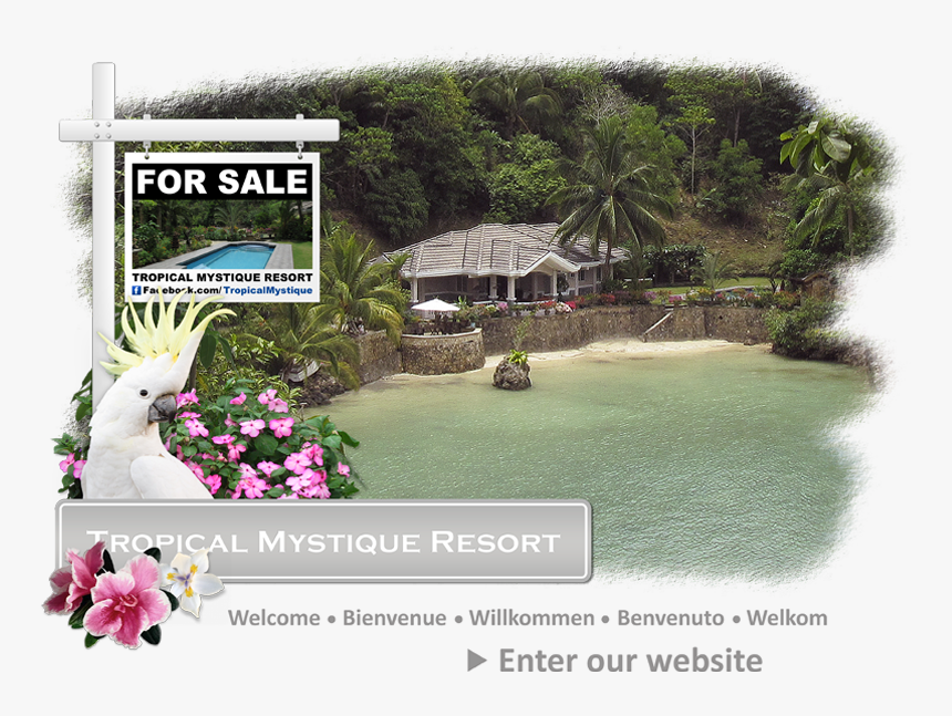 Welcome To The Tropical Mystique Resort - Клипарт 8 Марта, HD Png Download, Free Download