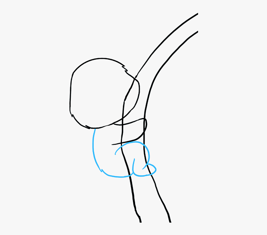 How To Draw A Koala - Draw A Scary Koala Easy, HD Png Download, Free Download