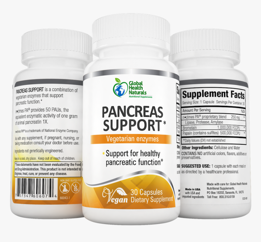 Pancreas Support, HD Png Download, Free Download