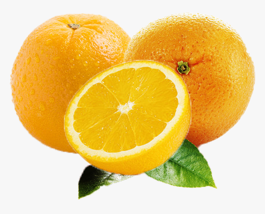 Orange Fruit Png Images Free Download Searchpng - Rangpur, Transparent Png, Free Download