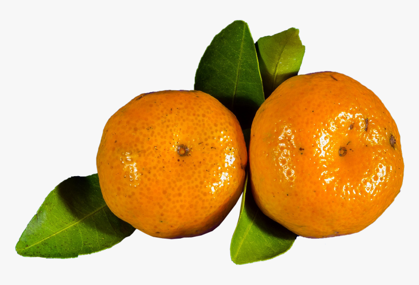 Like Orange Fruit, HD Png Download, Free Download