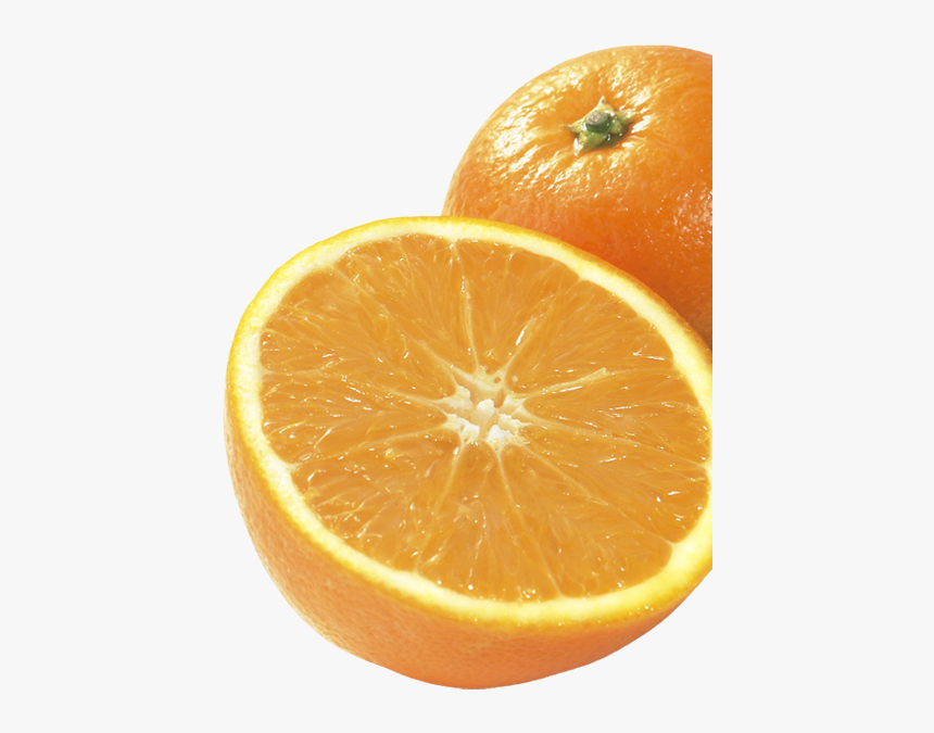 Appelsin Orange Hoejre Frugt Nederst - Orange, HD Png Download, Free Download