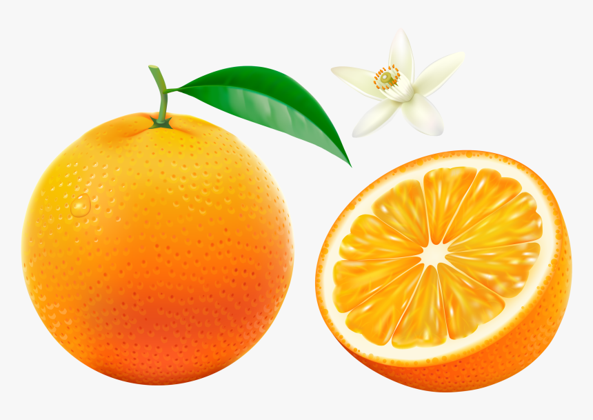 Фотки Orange Bowl, Orange Fruit, Fruits And Vegetables, - Orange Fruits Images Free Download, HD Png Download, Free Download