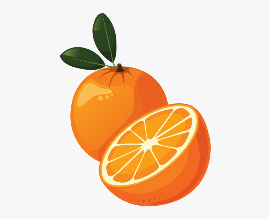 Orange Png - Tangerine Clipart, Transparent Png, Free Download