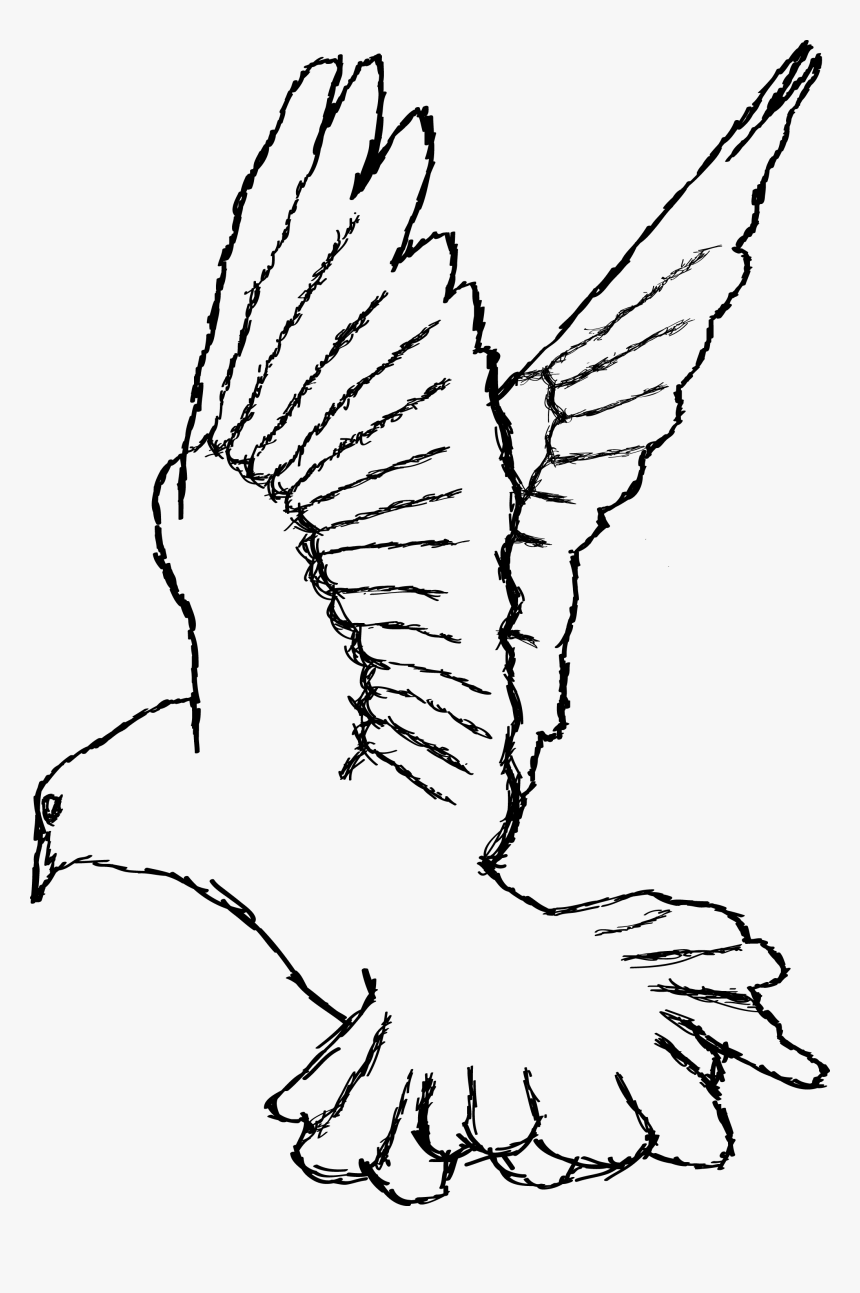 Illustrator White Dove By - White Dove Drawing Png, Transparent Png, Free Download