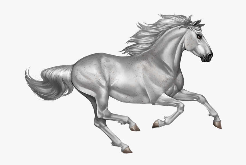 Running Transparent Background Horse Png, Png Download, Free Download
