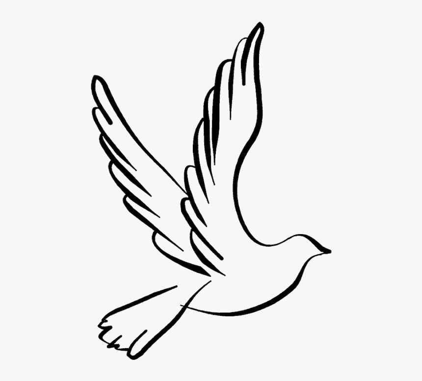 White Dove Clipart Dove Open Wing - Dove Drawing Png, Transparent Png, Free Download