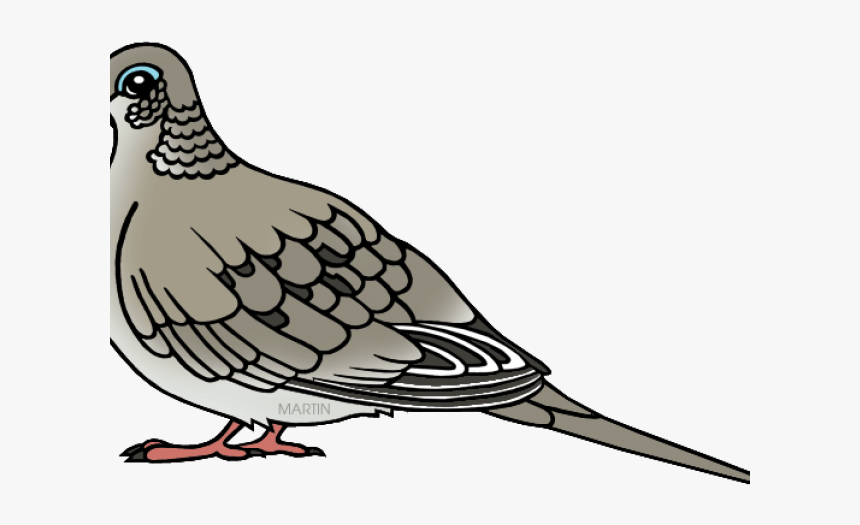 Morning Dove Clip Art, HD Png Download, Free Download