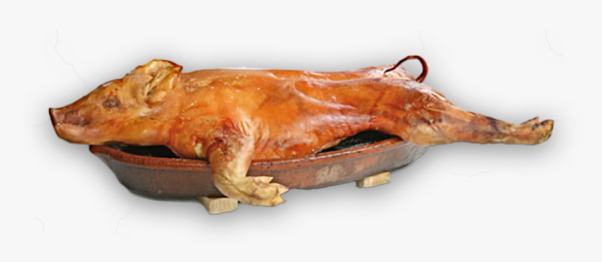 Roast Suckling Pig Png, Transparent Png, Free Download