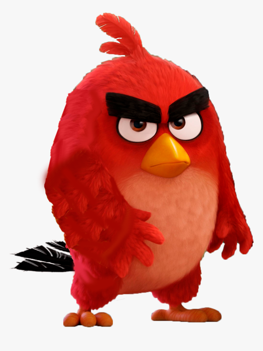 Red - Angry Bird Wallpaper 4k, HD Png Download, Free Download