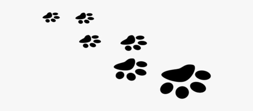 #footsteps #paws #footprints #animals #pets #cat #dog - White Paw Prints Png, Transparent Png, Free Download